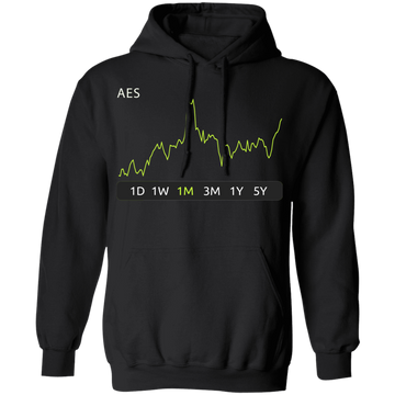 AES Stock 1m Pullover Hoodie